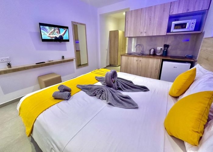 Bright Superior Studio hotel room with modern furnishings, featuring a cozy sleeping area, kitchenette, and large window with natural light.