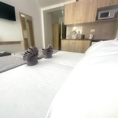 Superior Studio with modern design, cozy bed, and small kitchenette.